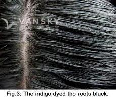 240625142516_Hair-Dyed with indigo-s.jpg